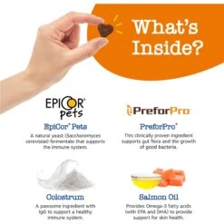 Zesty Paws Advanced Allergy & Immune Bites Salmon Flavored Soft Chews Allergies, Immune, & Skin Support Supplement For Senior Dogs -Pet Wellness 224444 PT3. AC SS1800 V1699634594