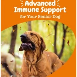 Zesty Paws Advanced Allergy & Immune Bites Salmon Flavored Soft Chews Allergies, Immune, & Skin Support Supplement For Senior Dogs -Pet Wellness 224444 PT4. AC SS1800 V1699634593