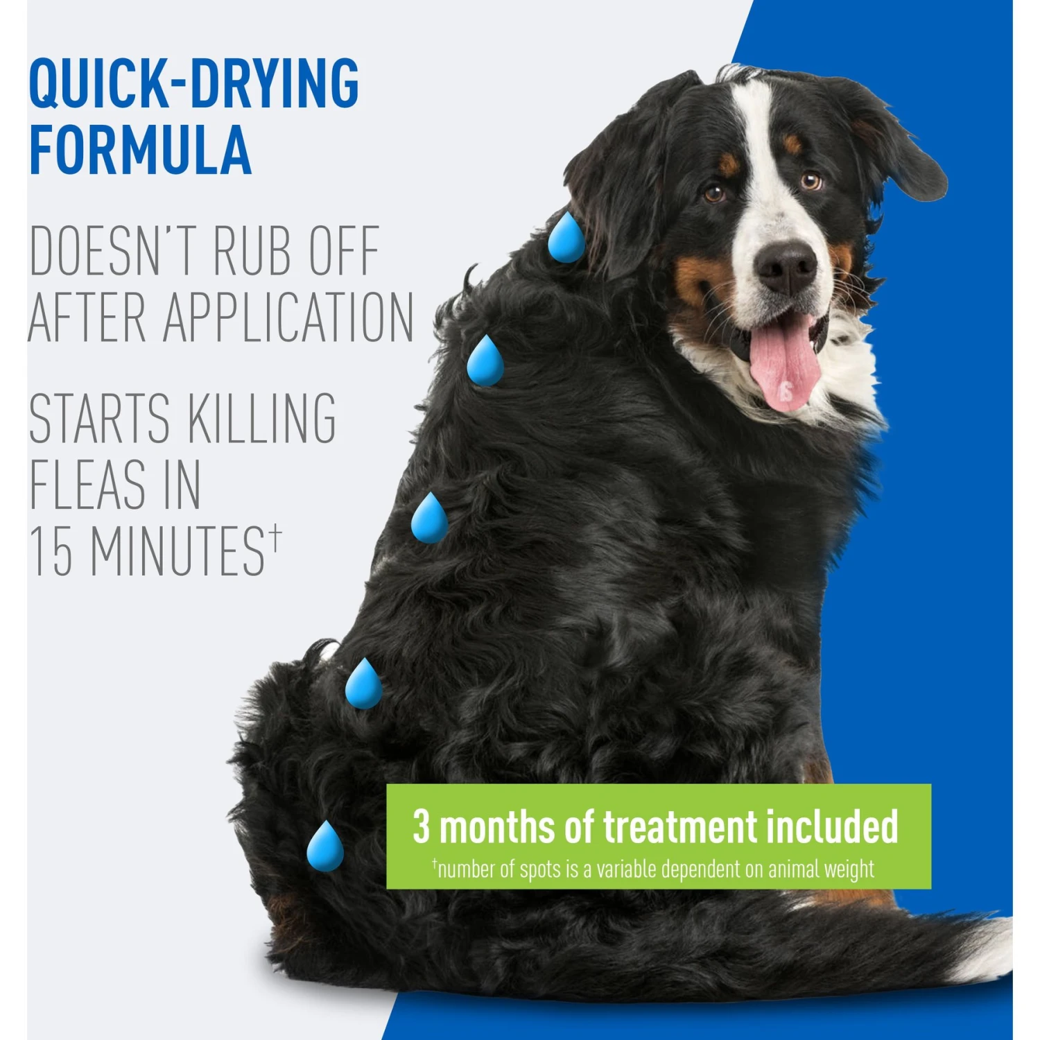 Adams® Adams Flea & Tick Spot Treatment For Dogs, 61-150 Lbs 4 Adams® Adams Flea & Tick Spot Treatment For Dogs, 61-150 Lbs - Image 4