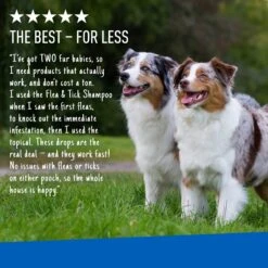 Adams® Adams Flea & Tick Spot Treatment For Dogs, 61-150 Lbs 15 Adams® Adams Flea & Tick Spot Treatment For Dogs, 61-150 Lbs -Pet Wellness 224450 PT6. AC SS1800 V1679080717