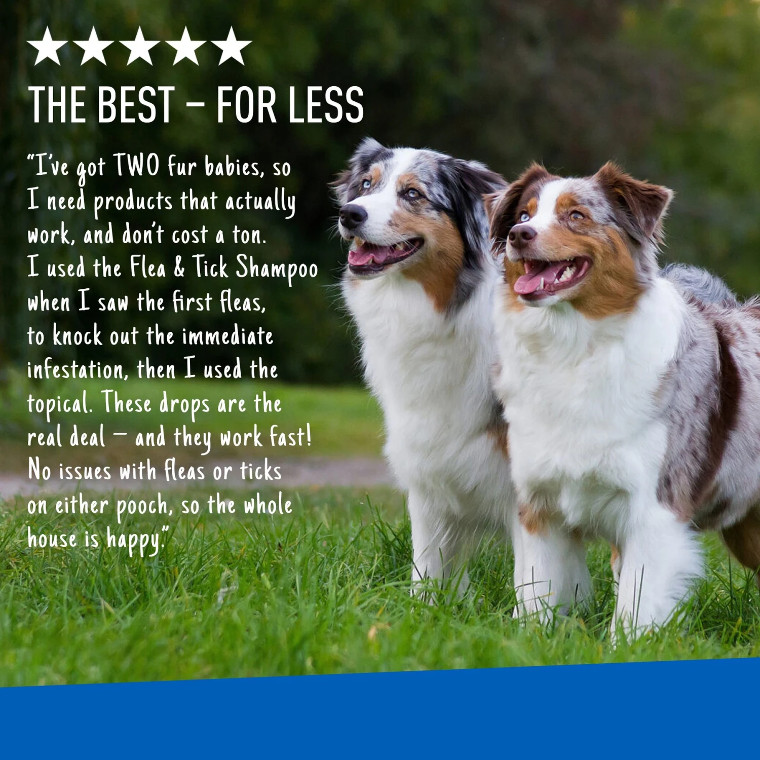 Adams® Adams Flea & Tick Spot Treatment For Dogs, 61-150 Lbs 7 Adams® Adams Flea & Tick Spot Treatment For Dogs, 61-150 Lbs - Image 7