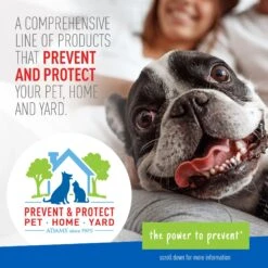 Adams® Adams Flea & Tick Spot Treatment For Dogs, 5-14 Lbs -Pet Wellness 224453 PT5. AC SS1800 V1679080912