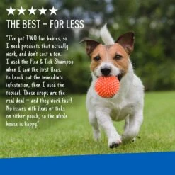 Adams® Adams Flea & Tick Spot Treatment For Dogs, 5-14 Lbs -Pet Wellness 224453 PT6. AC SS1800 V1679080657