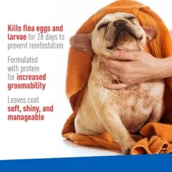 Adams® Adams Plus Flea & Tick Aloe & Cucumber Scent Sensitive Skin Foaming Dog Shampoo, 10-oz Bottle -Pet Wellness 226148 PT3. AC SS1800 V1679080844