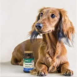 PetNC Natural Care Adult Multi Daily Formula Dog Supplement, 75 Count -Pet Wellness 227186 PT6. AC SS1800 V1617063714