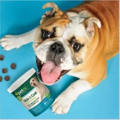 PetNC Natural Care Skin & Coat Soft Chews Dog Supplement, 60 Count 13 PetNC Natural Care Skin & Coat Soft Chews Dog Supplement, 60 Count -Pet Wellness 227192 PT6. AC SS1800 V1617063709