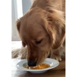 Caru Daily Dish Chicken Broth Human-Grade Dog & Cat Wet Food Topper, 1.1-lb Bottle -Pet Wellness 227867 PT3. AC SS1800 V1700598715