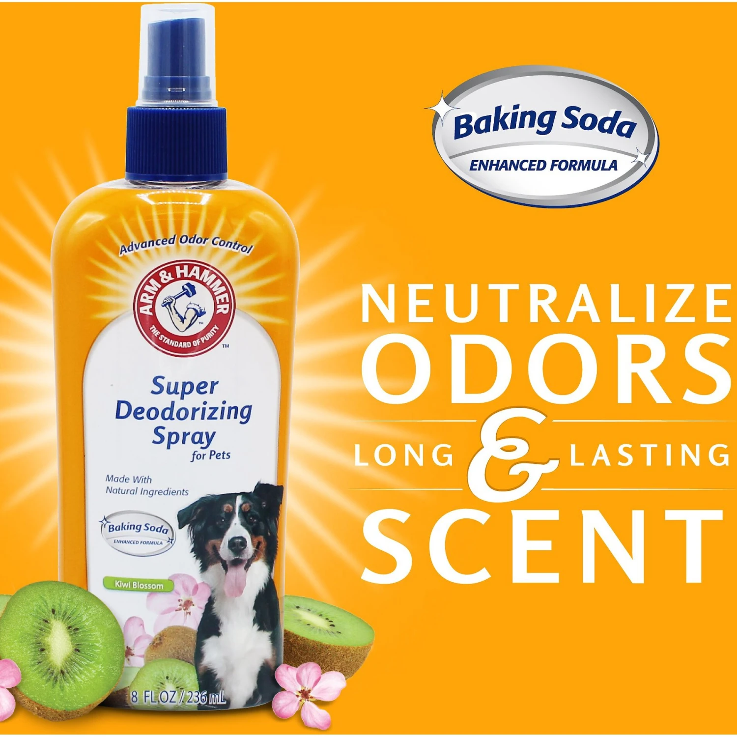 ARM & HAMMER PRODUCTS Kiwi Blossom Super Deodorizing Dog Spray, 8-oz Bottle 3 ARM & HAMMER PRODUCTS Kiwi Blossom Super Deodorizing Dog Spray, 8-oz Bottle - Image 3