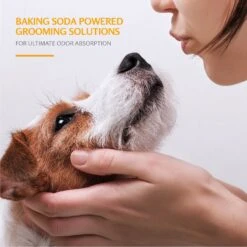 ARM & HAMMER PRODUCTS Kiwi Blossom Super Deodorizing Dog Spray, 8-oz Bottle 8 ARM & HAMMER PRODUCTS Kiwi Blossom Super Deodorizing Dog Spray, 8-oz Bottle -Pet Wellness 227887 PT3. AC SS1800 V1584976860