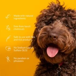 ARM & HAMMER PRODUCTS Kiwi Blossom Super Deodorizing Dog Spray, 8-oz Bottle 9 ARM & HAMMER PRODUCTS Kiwi Blossom Super Deodorizing Dog Spray, 8-oz Bottle -Pet Wellness 227887 PT4. AC SS1800 V1584976883