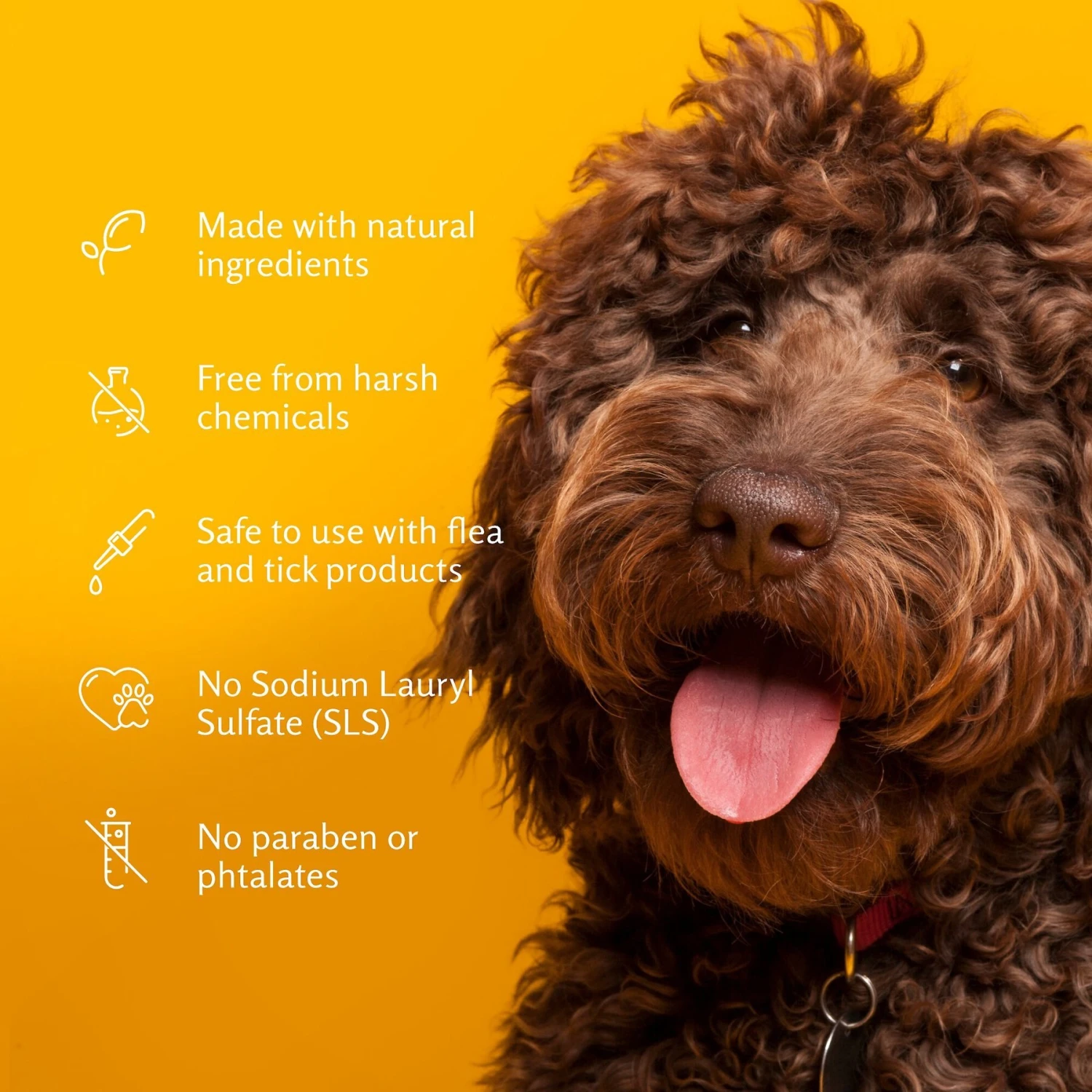 ARM & HAMMER PRODUCTS Kiwi Blossom Super Deodorizing Dog Spray, 8-oz Bottle 5 ARM & HAMMER PRODUCTS Kiwi Blossom Super Deodorizing Dog Spray, 8-oz Bottle - Image 5