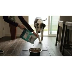 BIXBI RAWBBLE Fresh Duck Recipe Limited Ingredient Grain-Free Dry Dog Food 11 BIXBI RAWBBLE Fresh Duck Recipe Limited Ingredient Grain-Free Dry Dog Food -Pet Wellness 228743 PT5. AC SS1800 V1607037440