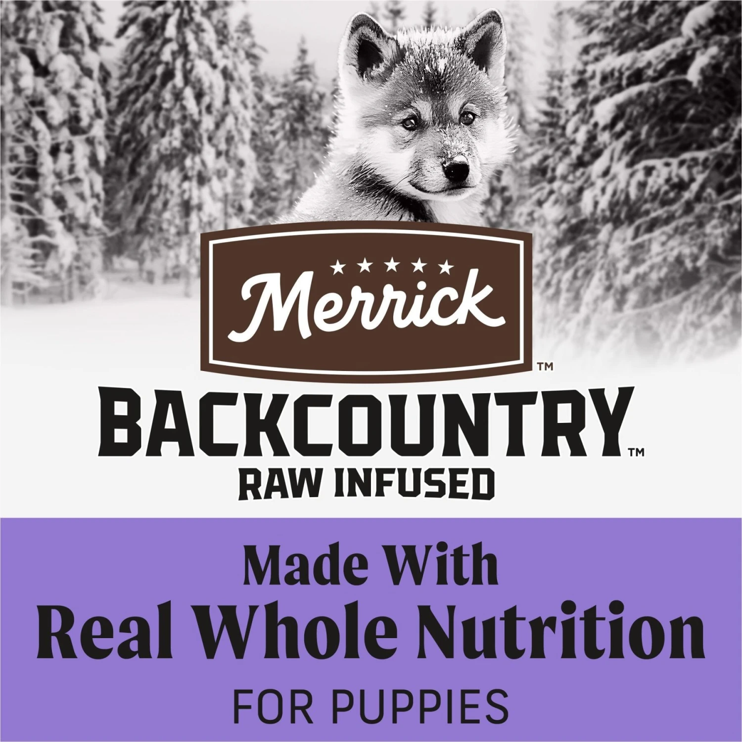 Merrick Backcountry Raw Infused Puppy Recipe + Grains With Chicken & Salmon Freeze-Dried Dry Dog Food 5 Merrick Backcountry Raw Infused Puppy Recipe + Grains With Chicken & Salmon Freeze-Dried Dry Dog Food - Image 5
