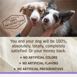 Merrick Backcountry Raw Infused Puppy Recipe + Grains With Chicken & Salmon Freeze-Dried Dry Dog Food 16 Merrick Backcountry Raw Infused Puppy Recipe + Grains With Chicken & Salmon Freeze-Dried Dry Dog Food -Pet Wellness 229214 PT7. AC SS1800 V1693933705