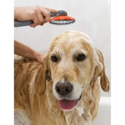 Ivation Portable Camping Shower -Pet Wellness 229330 PT5. AC SS1800 V1585837589