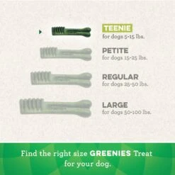 Greenies Original Teenie Holiday Dental Dog Treats, 22 Count -Pet Wellness 231254 PT4. AC SS1800 V1594053091