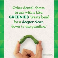 Greenies Original Regular Holiday Dental Dog Treats, 6 Count -Pet Wellness 231258 PT3. AC SS1800 V1594052165