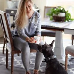 Petaxin Daily Probiotic Chicken Flavor Grain-Free Dog Supplement, 120 Count -Pet Wellness 232879 PT6. AC SS1800 V1587146469