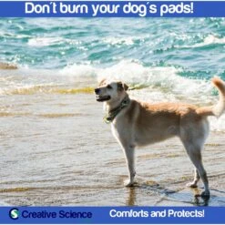 Creative Science Pad-Tough Dog Spray -Pet Wellness 233621 PT4. AC SS1800 V1673379580