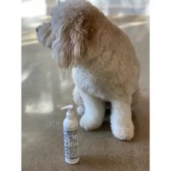 Kibble Pet Brightening Silky Wash Dog Shampoo -Pet Wellness 234377 PT2. AC SS1800 V1589385695