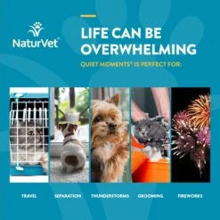 NaturVet Quiet Moments Liquid Calming Supplement For Cats & Dogs -Pet Wellness 234615 PT3. AC SS1800 V1698697471