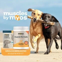 MYOS Canine Muscle Formula Dog Supplement -Pet Wellness 234620 PT7. AC SS1800 V1633472888