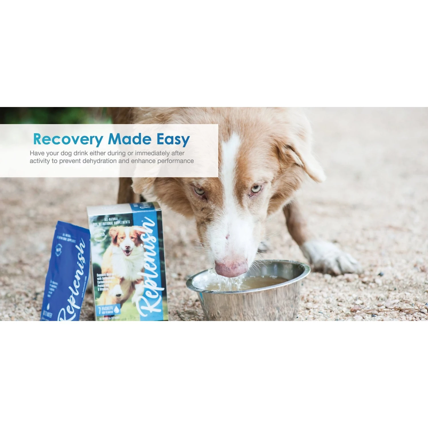 Replenish Dog Water Recovery All-Natural Dog Powder Supplement 4 Replenish Dog Water Recovery All-Natural Dog Powder Supplement - Image 4