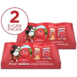 Purina ONE SmartBlend Tender Cuts In Gravy Variety Pack Wet Dog Food