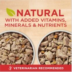 Purina ONE SmartBlend Tender Cuts In Gravy Variety Pack Wet Dog Food 11 Purina ONE SmartBlend Tender Cuts In Gravy Variety Pack Wet Dog Food -Pet Wellness 236585 PT2. AC SS1800 V1671813774