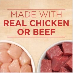 Purina ONE SmartBlend Tender Cuts In Gravy Variety Pack Wet Dog Food 12 Purina ONE SmartBlend Tender Cuts In Gravy Variety Pack Wet Dog Food -Pet Wellness 236585 PT3. AC SS1800 V1671813775
