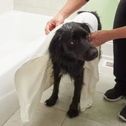 Rinse Ace Microfiber Pet Towel -Pet Wellness 237726 PT5. AC SS1800 V1591636017