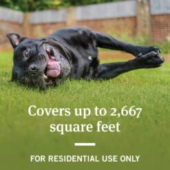 PetArmor Home Yard & Premise Flea & Tick Spray Treatment -Pet Wellness 237765 PT2. AC SS1800 V1591796763