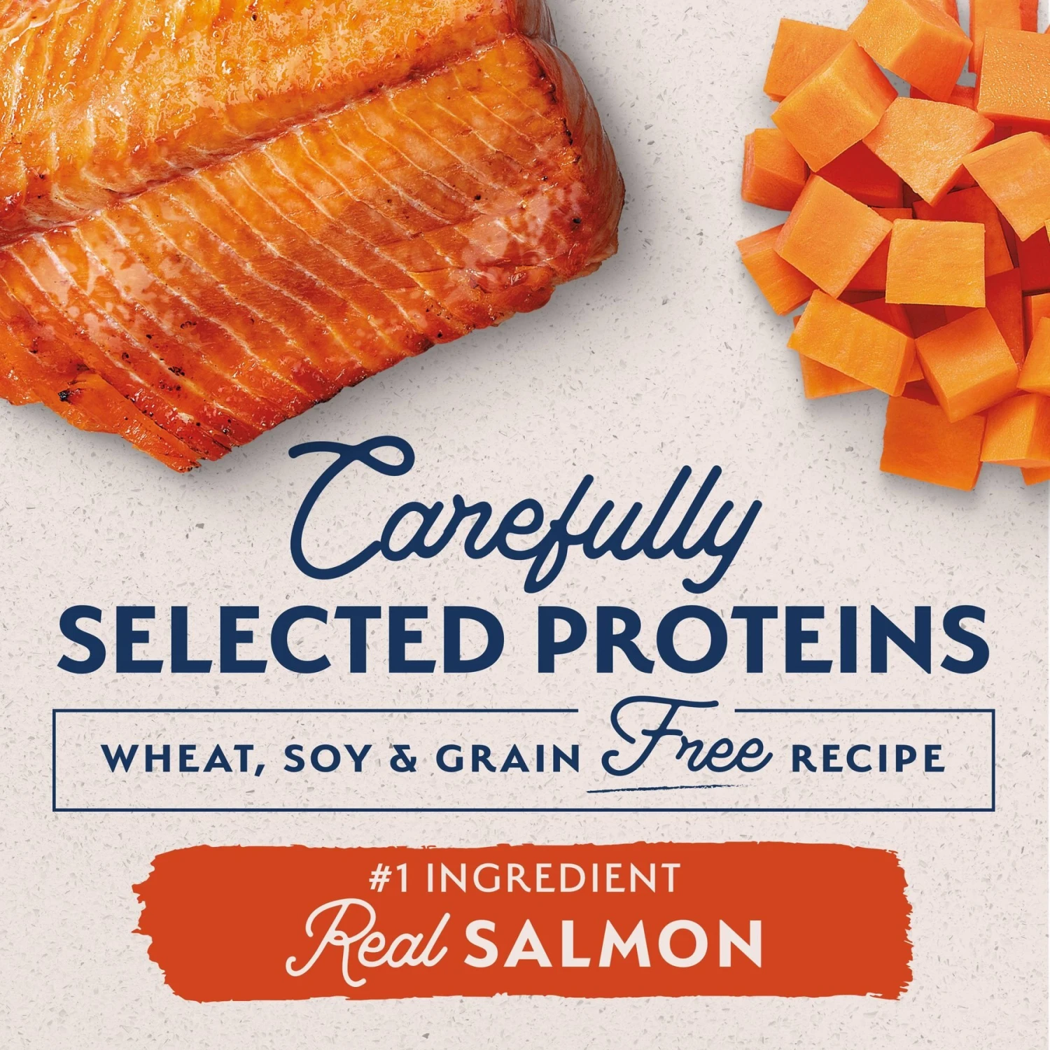 Natural Balance Limited Ingredient Grain-Free Salmon & Sweet Potato Small Breed Bites Recipe Dry Dog Food 2 Natural Balance Limited Ingredient Grain-Free Salmon & Sweet Potato Small Breed Bites Recipe Dry Dog Food - Image 2