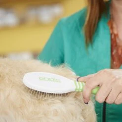 Andis Pin Brush, Green/White 7 Andis Pin Brush, Green/White -Pet Wellness 239862 PT4. AC SS1800 V1606867632