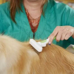 Andis Flexible Dog Rake, Green/White -Pet Wellness 239865 PT3. AC SS1800 V1606865584