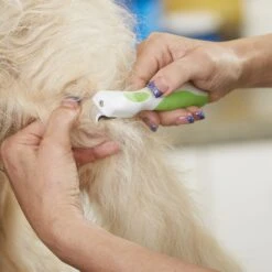 Andis Dematting Rake, Green/White -Pet Wellness 239867 PT3. AC SS1800 V1606870066