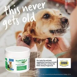 YuMOVE Joint Care Chewable Tablet Adult Dog Supplement 17 YuMOVE Joint Care Chewable Tablet Adult Dog Supplement -Pet Wellness 241897 PT8. AC SS1800 V1597888292