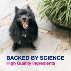 Nutramax Proviable Chewable Tablet Digestive Supplement For Dogs -Pet Wellness 242827 PT3. AC SS1800 V1672761170