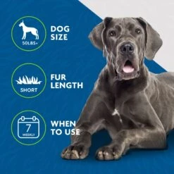 FURminator Short Hair Dog Deshedding Tool -Pet Wellness 243247 PT4. AC SS1800 V1701116293