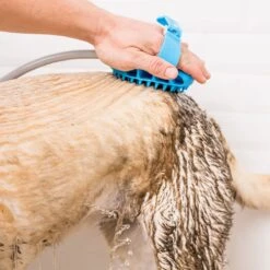 Aquapaw Pro Dog Grooming Tool, Blue -Pet Wellness 243543 PT5. AC SS1800 V1594915289