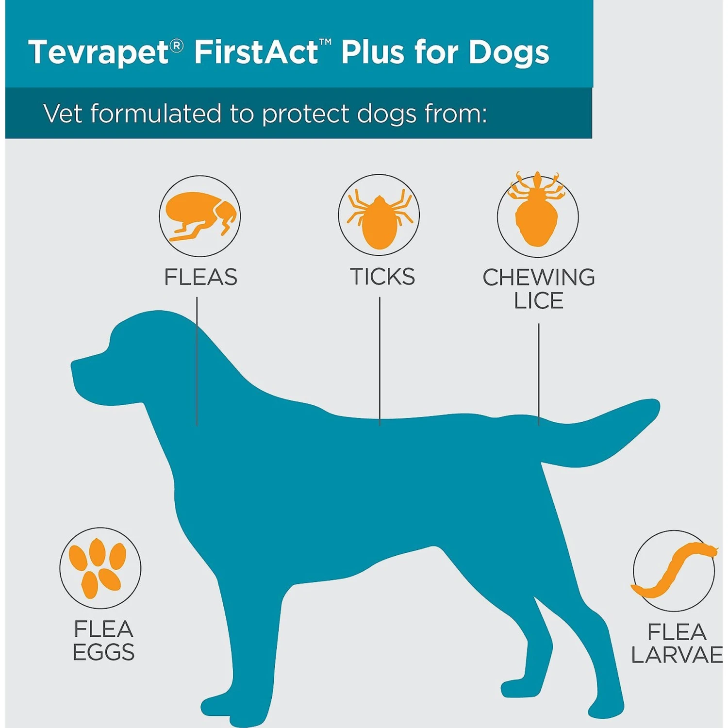 TevraPet FirstAct Plus Flea & Tick Spot Treatment For Dogs, 45 - 88 Lbs 3 TevraPet FirstAct Plus Flea & Tick Spot Treatment For Dogs, 45 - 88 Lbs - Image 3