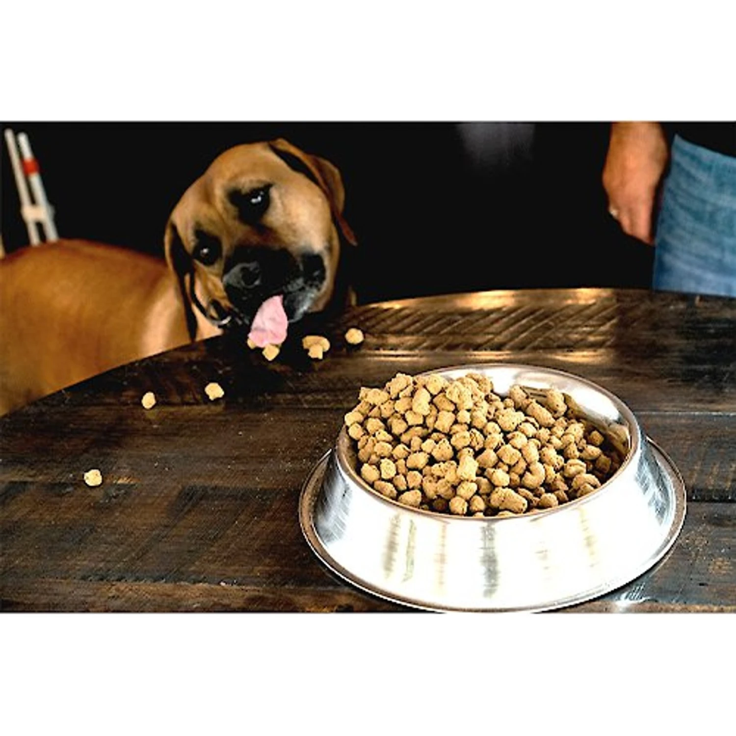 Boss Dog Fish Flavor Freeze-Dried Dog Food, 12-oz Pouch 2 Boss Dog Fish Flavor Freeze-Dried Dog Food, 12-oz Pouch - Image 2