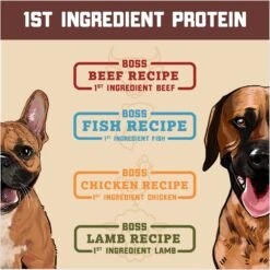 Boss Dog Fish Flavor Freeze-Dried Dog Food, 12-oz Pouch 11 Boss Dog Fish Flavor Freeze-Dried Dog Food, 12-oz Pouch -Pet Wellness 248099 PT5. AC SS1800 V1672342669