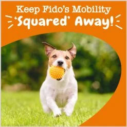 Zesty Paws Lil' Zesties Mobility Squares Chicken Flavored Soft Chews Glucosamine Hip & Joint Supplement For Dogs 12 Zesty Paws Lil' Zesties Mobility Squares Chicken Flavored Soft Chews Glucosamine Hip & Joint Supplement For Dogs -Pet Wellness 249406 PT3. AC SS1800 V1696961561