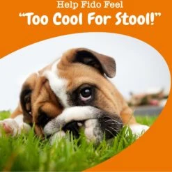 Zesty Paws Chew No Poo Chicken Flavored Dog Soft Chews Cophrophagia Digestive Supplement For Dogs 12 Zesty Paws Chew No Poo Chicken Flavored Dog Soft Chews Cophrophagia Digestive Supplement For Dogs -Pet Wellness 249409 PT3. AC SS1800 V1699634594