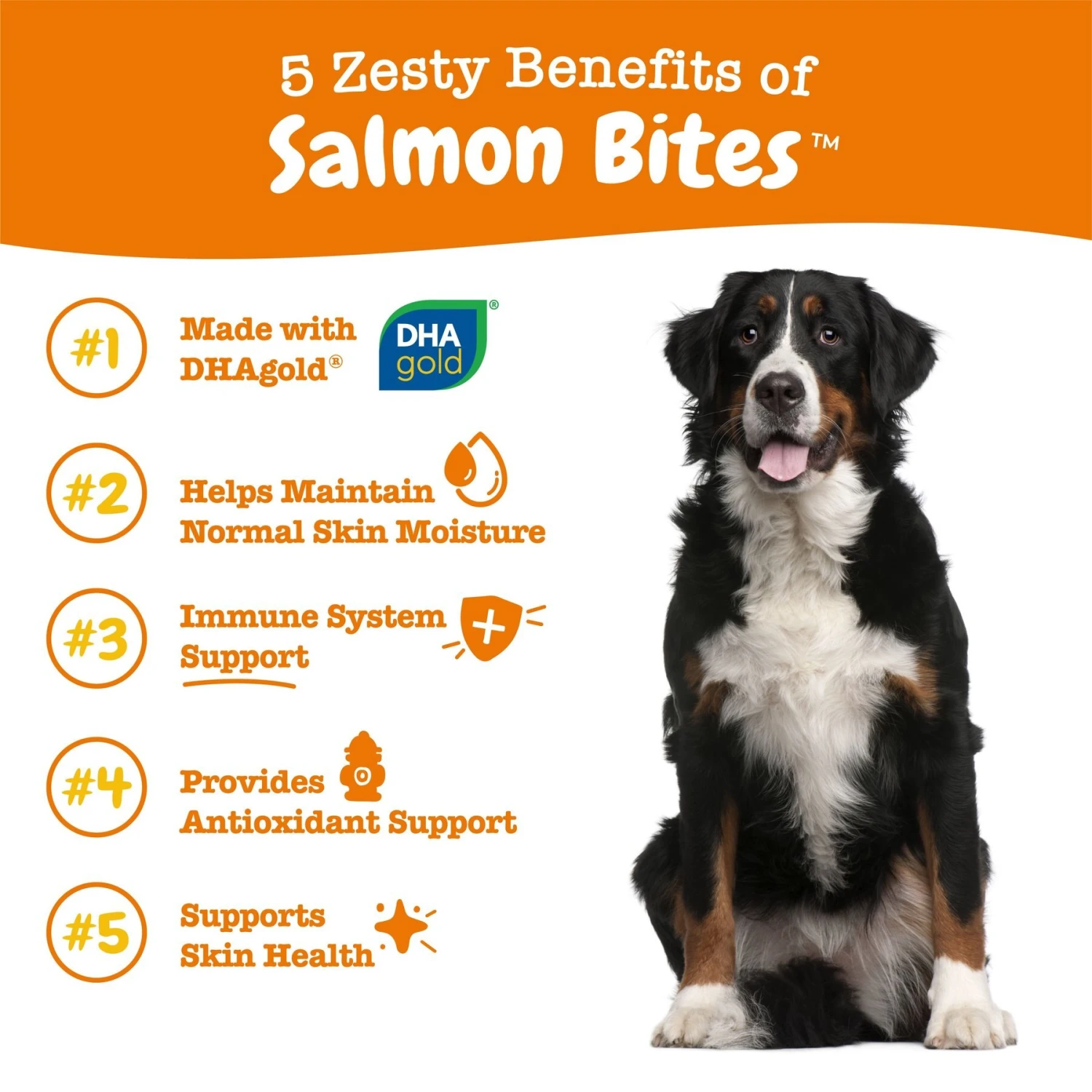Zesty Paws Salmon Bites Bacon Flavored Soft Chews Skin & Coat Supplement For Dogs, 90 Count 2 Zesty Paws Salmon Bites Bacon Flavored Soft Chews Skin & Coat Supplement For Dogs, 90 Count - Image 2