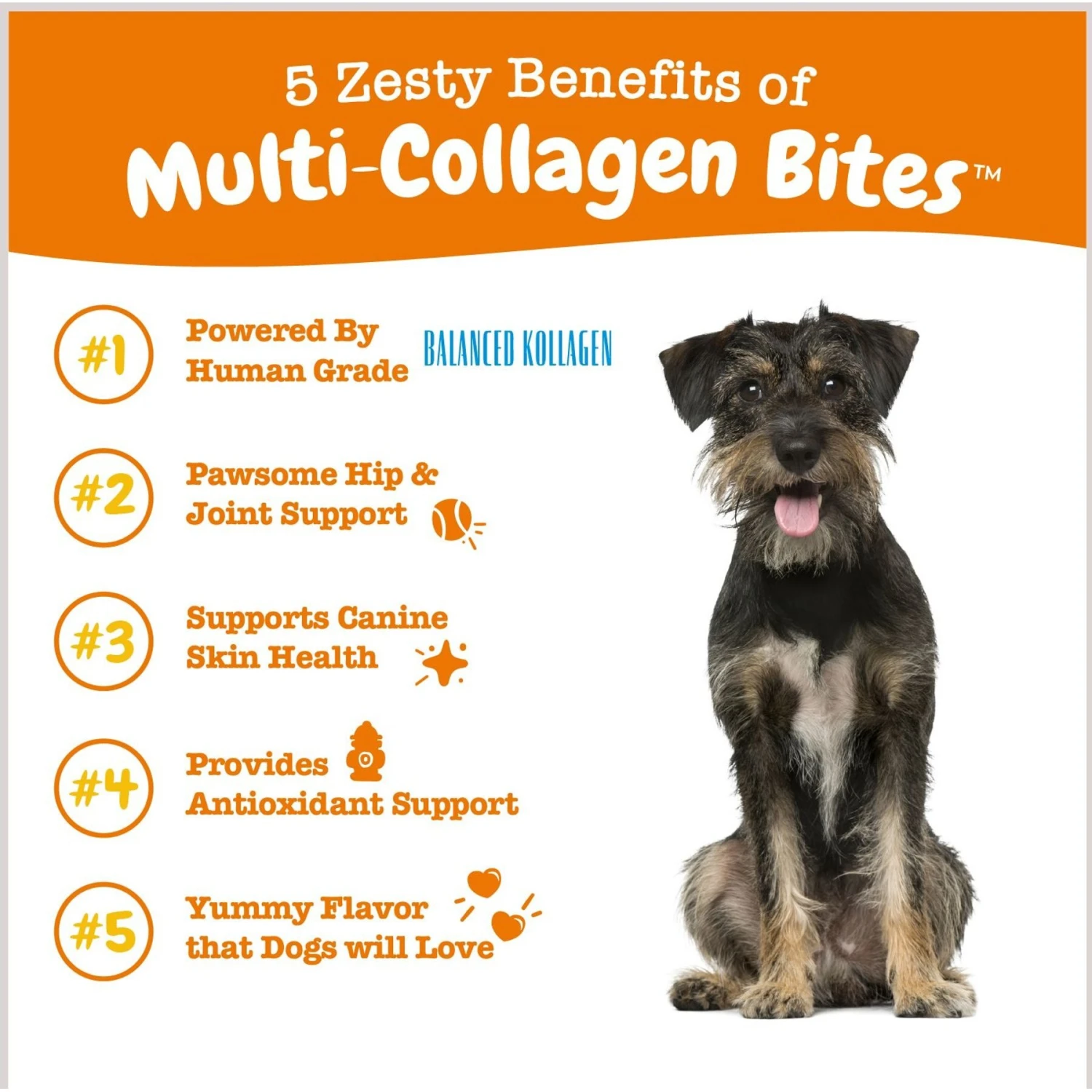 Zesty Paws Multi-Collagen Bites Chicken Flavored Soft Chews Multivitamin For Dogs 2 Zesty Paws Multi-Collagen Bites Chicken Flavored Soft Chews Multivitamin For Dogs - Image 2