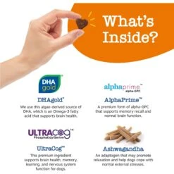 Zesty Paws Advanced Cognition Bites Chicken Flavored Soft Chews Brain & Nervous System Supplement For Senior Dogs -Pet Wellness 249415 PT2. AC SS1800 V1696540848