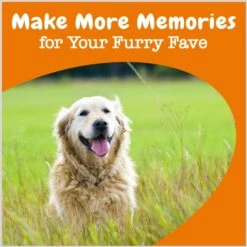 Zesty Paws Advanced Cognition Bites Chicken Flavored Soft Chews Brain & Nervous System Supplement For Senior Dogs -Pet Wellness 249415 PT3. AC SS1800 V1696601246