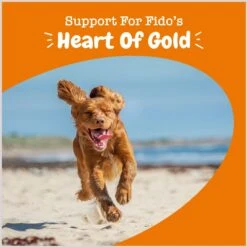 Zesty Paws Cardio Bites Salmon Flavored Soft Chews Heart Supplement For Dogs -Pet Wellness 249417 PT3. AC SS1800 V1696961568